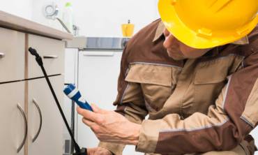Pest Control Services