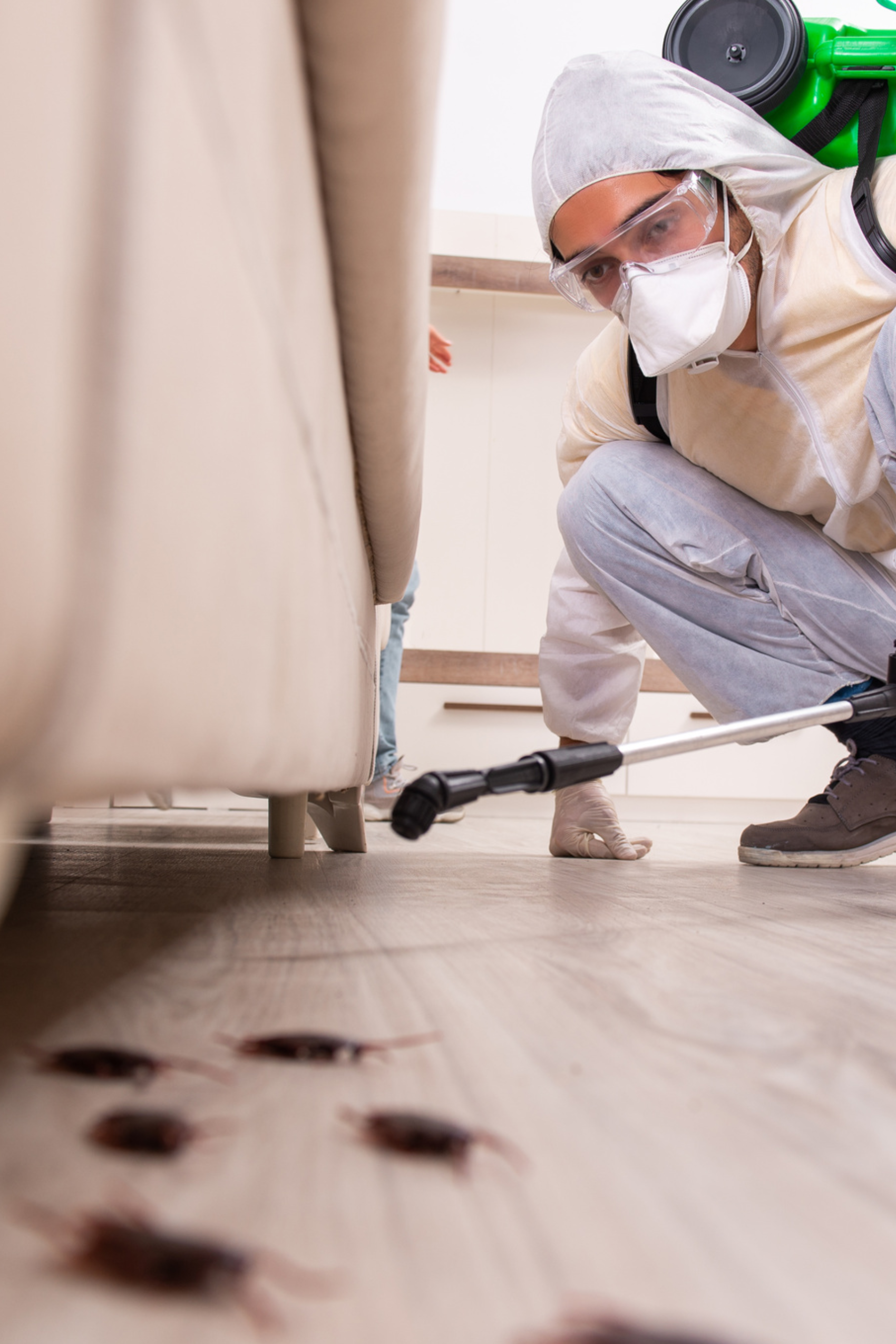 Exterminator Spraying Cockroaches under a couch