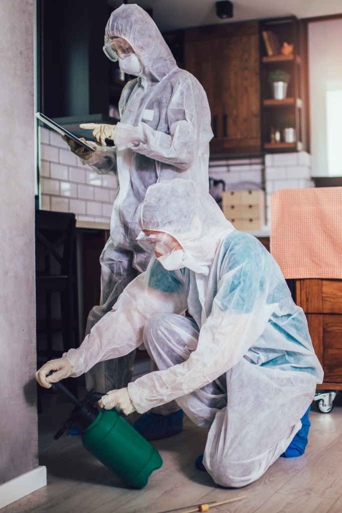 Workers doing spider control in Lansing, MI