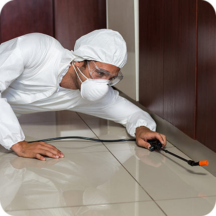 Pest Control Spraying Chemicals