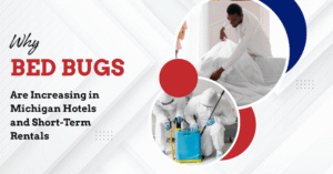 Bed Bugs Pest Control Jackson MI