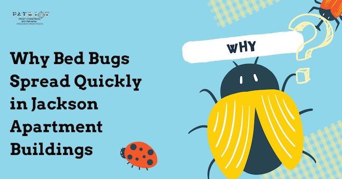 Bed Bugs Spread Quickly