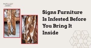 Signs Furniture Is Infested Before You Bring It Inside