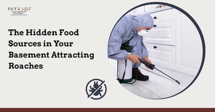 basement clutter attracting cockroaches near cardboard boxes