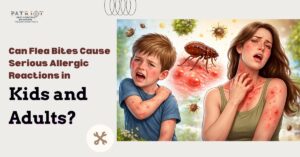 Child scratching flea bites on leg at home