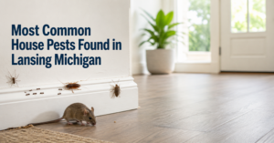 Common house pests in Lansing Michigan